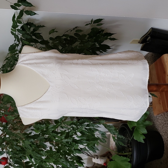 Ann Taylor Tops - AT top